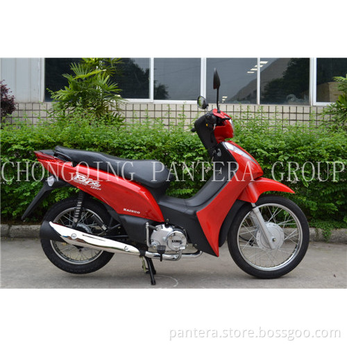 MOTORCYCLE SM110-18